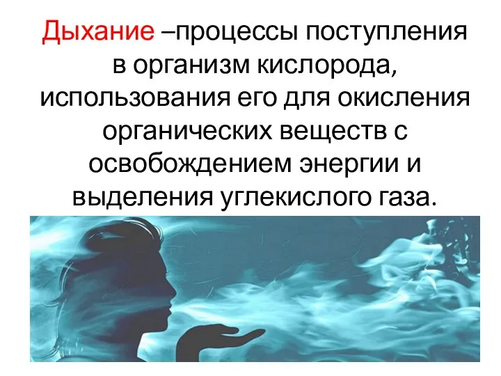 Дыхание –процессы поступления в организм кислорода, использования его для окисления органических