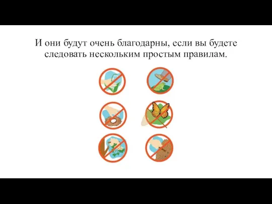 И они будут очень благодарны, если вы будете следовать нескольким простым правилам.