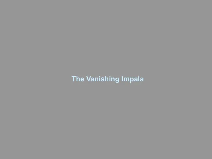 The Vanishing Impala