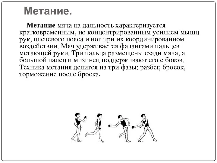 Метание. Метание мяча на дальность характеризуется кратковременным, но концентрированным усилием мышц