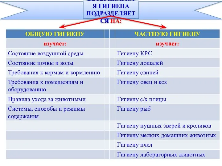 ВЕТЕРИНАРНАЯ ГИГИЕНА ПОДРАЗДЕЛЯЕТСЯ НА: