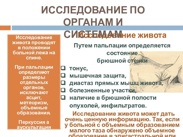 Исследование живота Путем пальпации определяется состояние брюшной стенки тонус, мышечная защита,