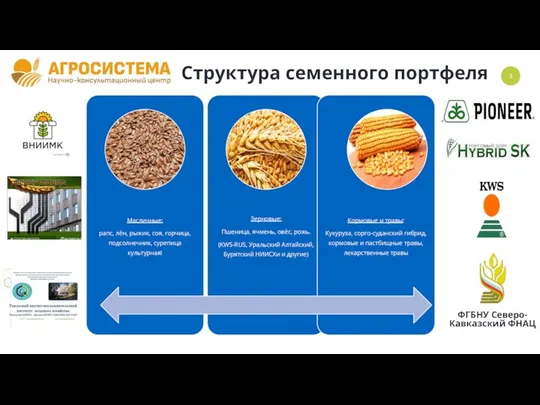 Структура семенного портфеля 35% Доля рынка продаж семян в 2021 г.