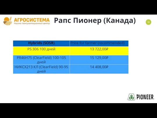 Рапс Пионер (Канада)