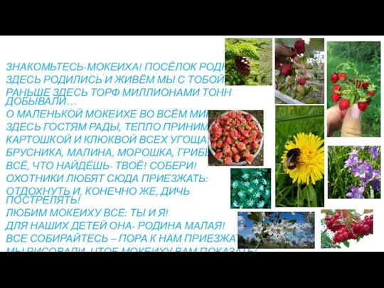 ЗНАКОМЬТЕСЬ-МОКЕИХА! ПОСЁЛОК РОДНОЙ. ЗДЕСЬ РОДИЛИСЬ И ЖИВЁМ МЫ С ТОБОЙ. РАНЬШЕ