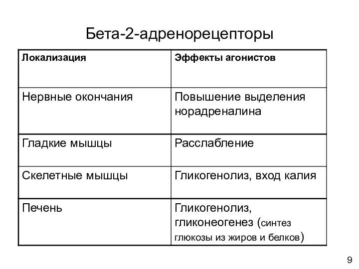 Бета-2-адренорецепторы 9