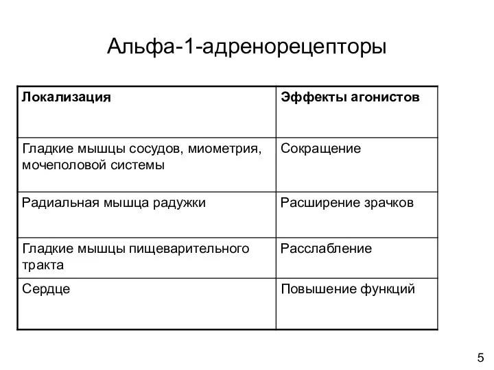 Альфа-1-адренорецепторы 5