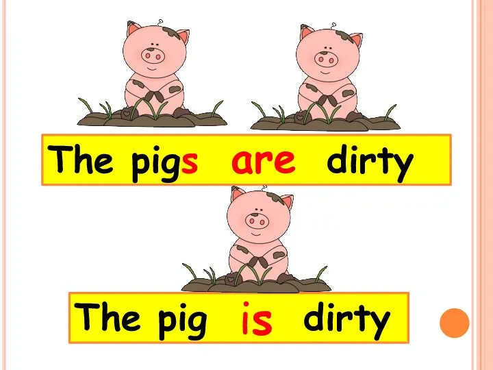 The pigs dirty are The pig dirty is