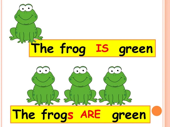 The frog green The frogs green IS ARE