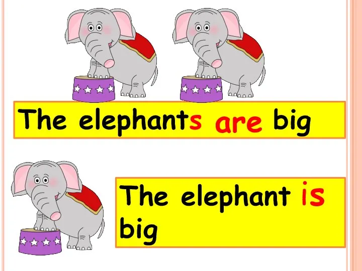 The elephants big The elephant big are is