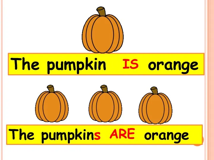 The pumpkins orange The pumpkin orange IS ARE