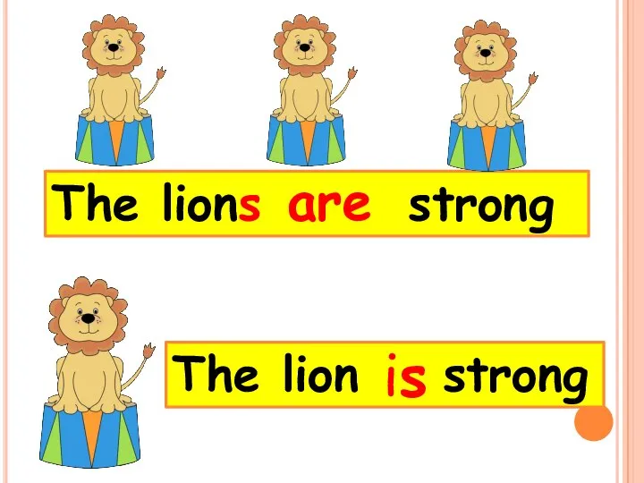 The lions strong are The lion strong is