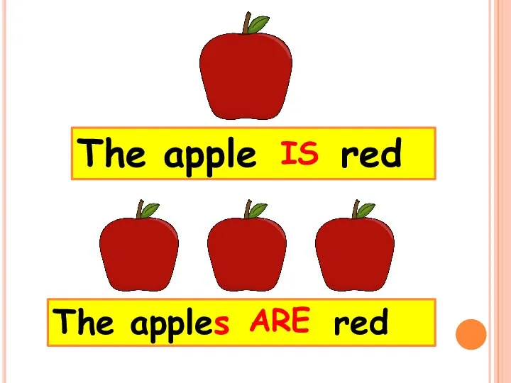 The apples red The apple red IS ARE