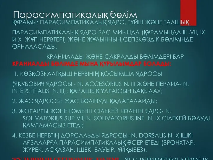 Парасимпатикалық бөлім ҚҰРАМЫ: ПАРАСИМПАТИКАЛЫҚ ЯДРО, ТҮЙІН ЖӘНЕ ТАЛШЫҚ. ПАРАСИМПАТИКАЛЫҚ ЯДРО БАС