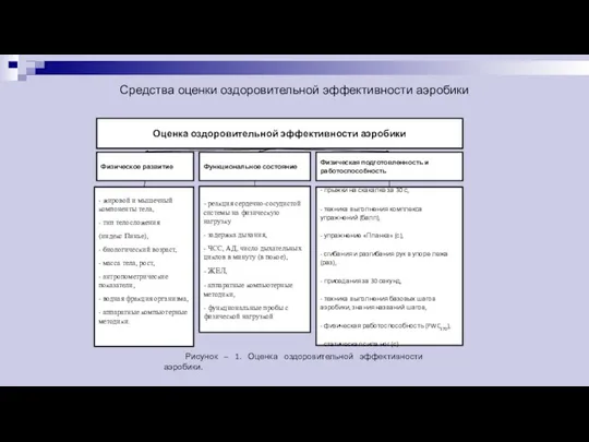 Средства оценки оздоровительной эффективности аэробики Рисунок – 1. Оценка оздоровительной эффективности аэробики.