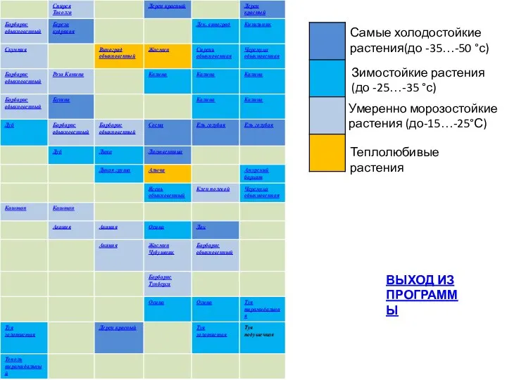 Самые холодостойкие растения(до -35…-50 °с) Зимостойкие растения(до -25…-35 °с) Умеренно морозостойкие