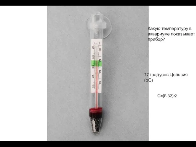 Какую температуру в аквариуме показывает прибор? 27 градусов Цельсия (оС) С=(F-32):2