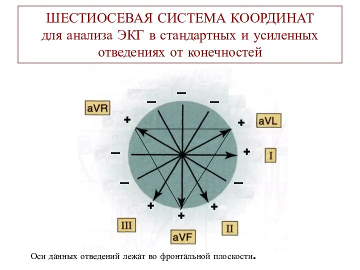 ШЕСТИОСЕВАЯ СИСТЕМА КООРДИНАТ для анализа ЭКГ в стандартных и усиленных отведениях