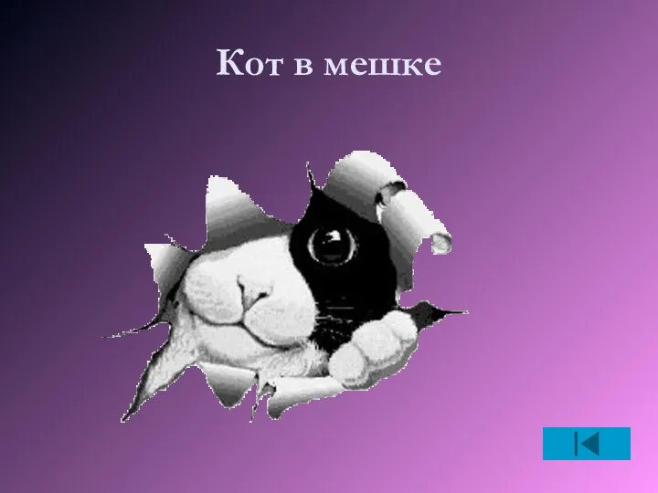 Кот в мешке