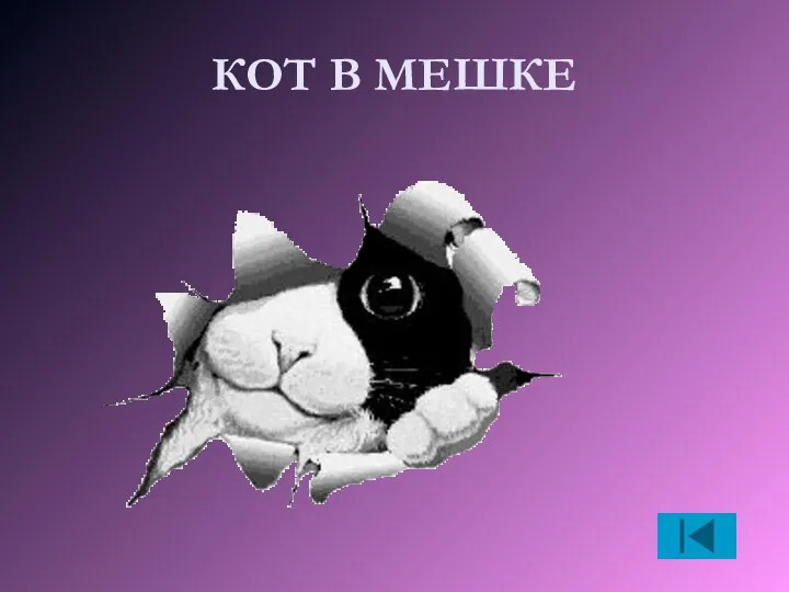 КОТ В МЕШКЕ