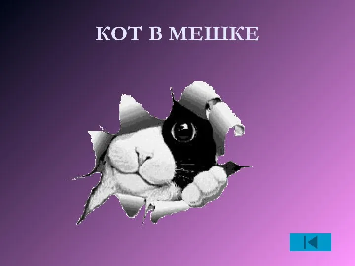 КОТ В МЕШКЕ