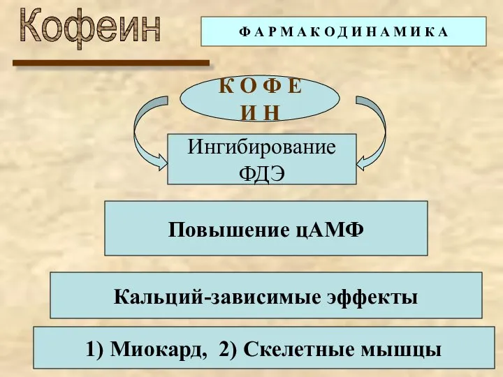 Кофеин Ф А Р М А К О Д И Н