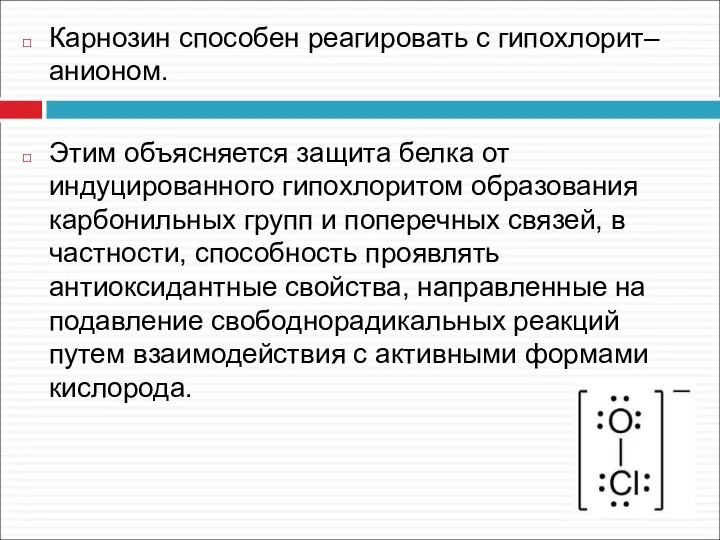 Карнозин способен реагировать с гипохлорит–анионом. Этим объясняется защита белка от индуцированного