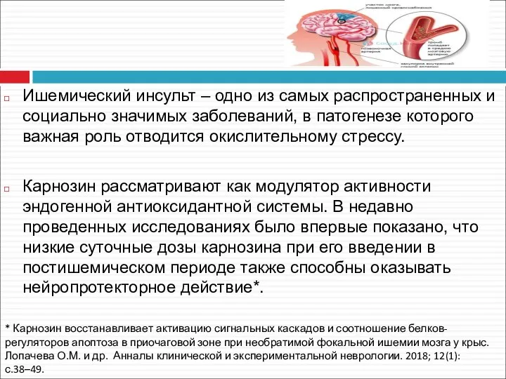 Ишемический инсульт – одно из самых распространенных и социально значимых заболеваний,