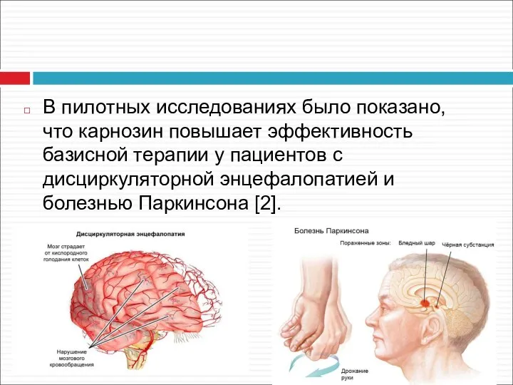 В пилотных исследованиях было показано, что карнозин повышает эффективность базисной терапии