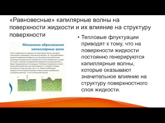 «Равновесные» капилярные волны на поверхности жидкости и их влияние на структуру