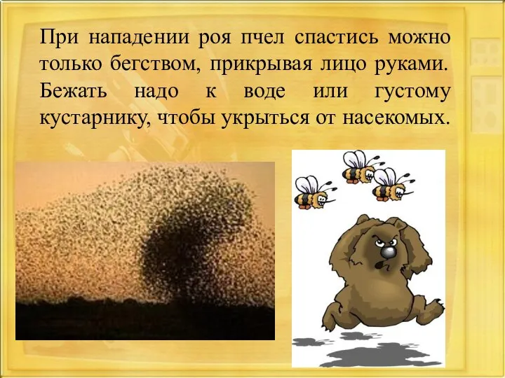 При нападении роя пчел спастись можно только бегством, прикрывая лицо руками.