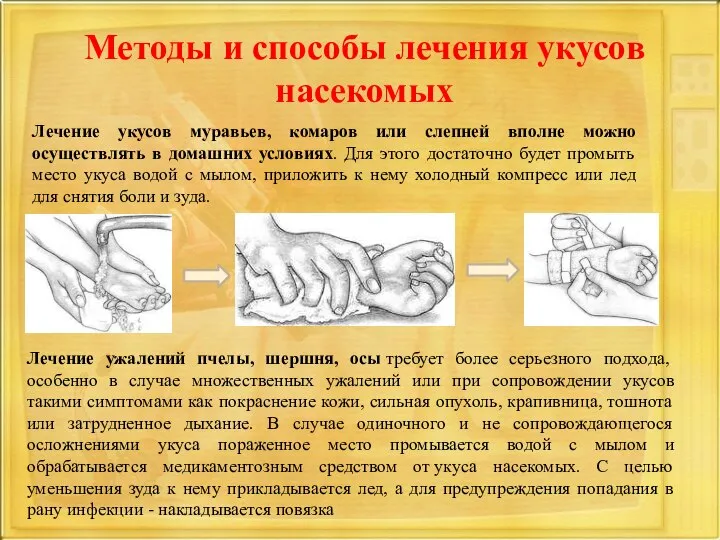 Методы и способы лечения укусов насекомых Лечение укусов муравьев, комаров или