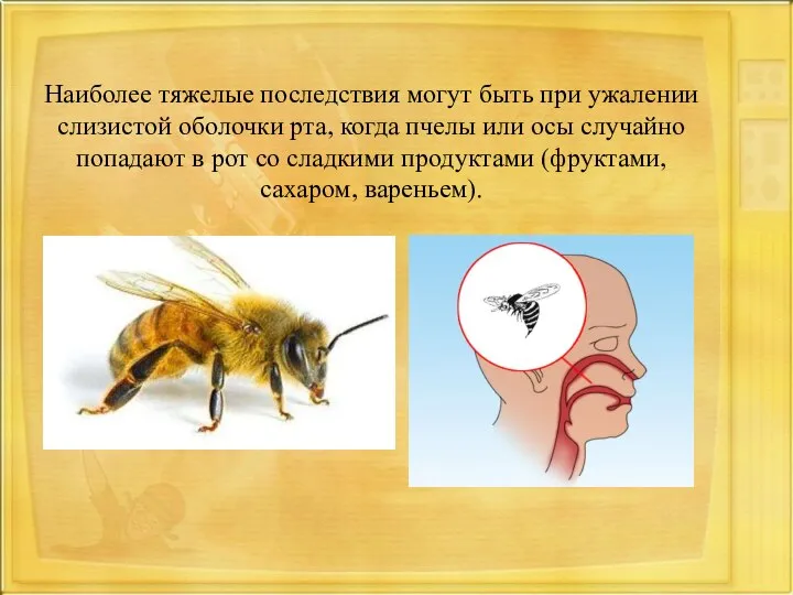 Наиболее тяжелые последствия могут быть при ужалении слизистой оболочки рта, когда