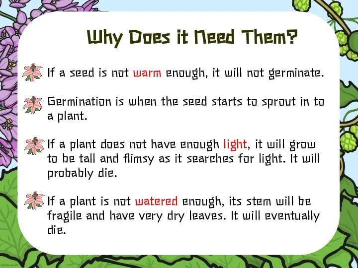 Why Does it Need Them? If a seed is not warm