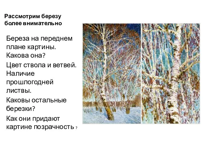 Рассмотрим березу более внимательно Береза на переднем плане картины. Какова она?