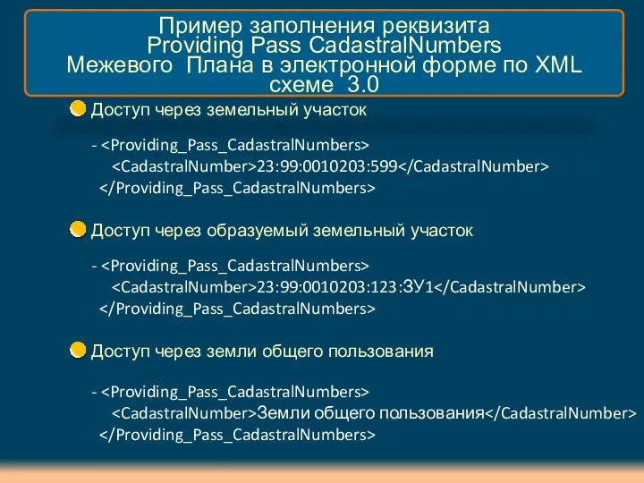 Пример заполнения реквизита Providing Pass CadastralNumbers Межевого Плана в электронной форме