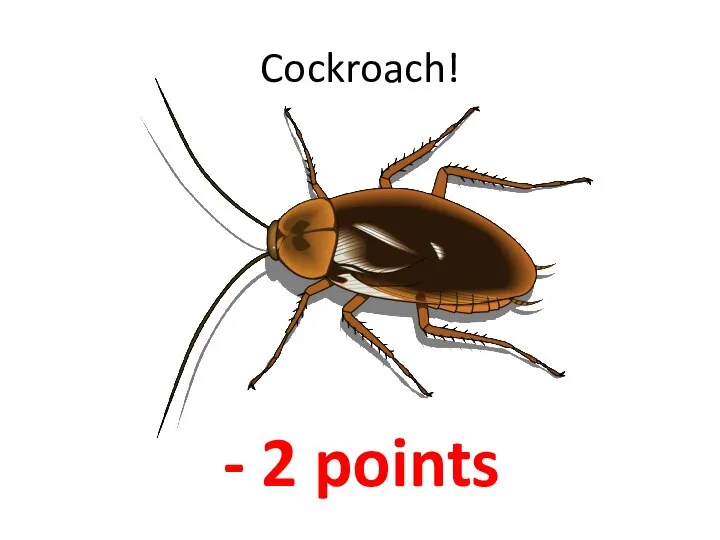 Cockroach! - 2 points