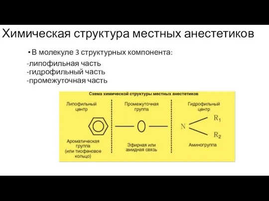 Химическая структура местных анестетиков В молекуле 3 структурных компонента: -липофильная часть -гидрофильный часть -промежуточная часть