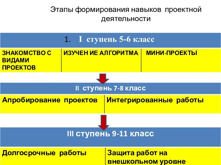 Этапы формирования навыков проектной деятельности