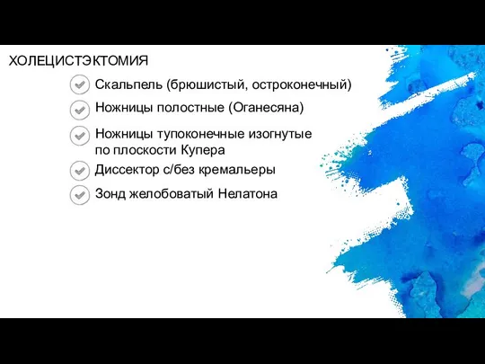 Скальпель (брюшистый, остроконечный) Ножницы полостные (Оганесяна) Ножницы тупоконечные изогнутые по плоскости