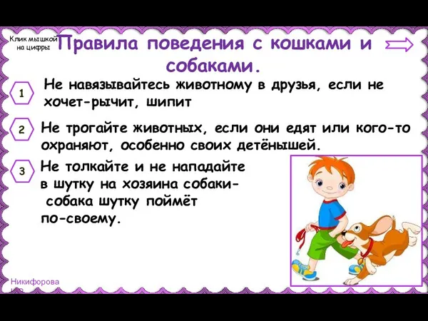 Правила поведения с кошками и собаками. Не навязывайтесь животному в друзья,