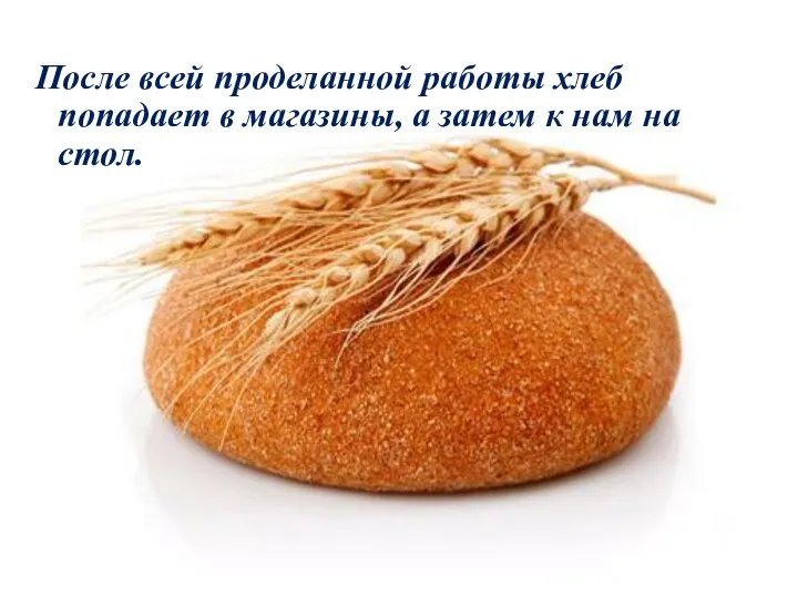 После всей проделанной работы хлеб попадает в магазины, а затем к нам на стол.