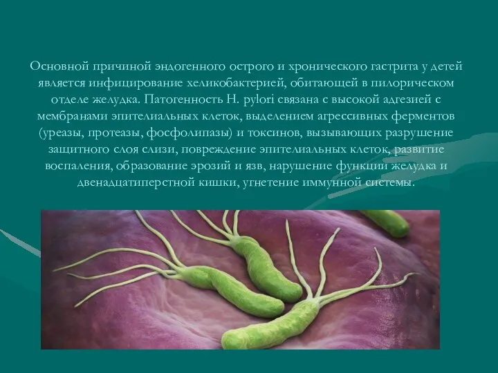 Основной причиной эндогенного острого и хронического гастрита у детей является инфицирование