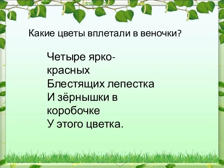 Какие цветы вплетали в веночки? Четыре ярко-красных Блестящих лепестка И зёрнышки в коробочке У этого цветка.