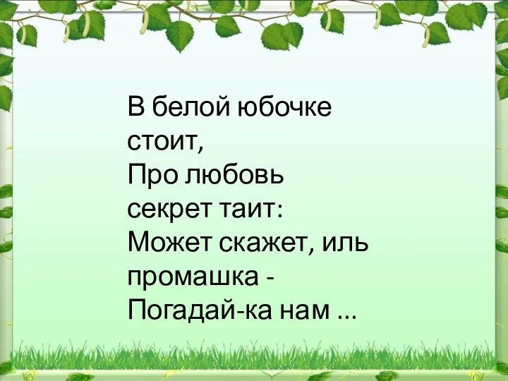 В белой юбочке стоит, Про любовь секрет таит: Может скажет, иль промашка - Погадай-ка нам ...