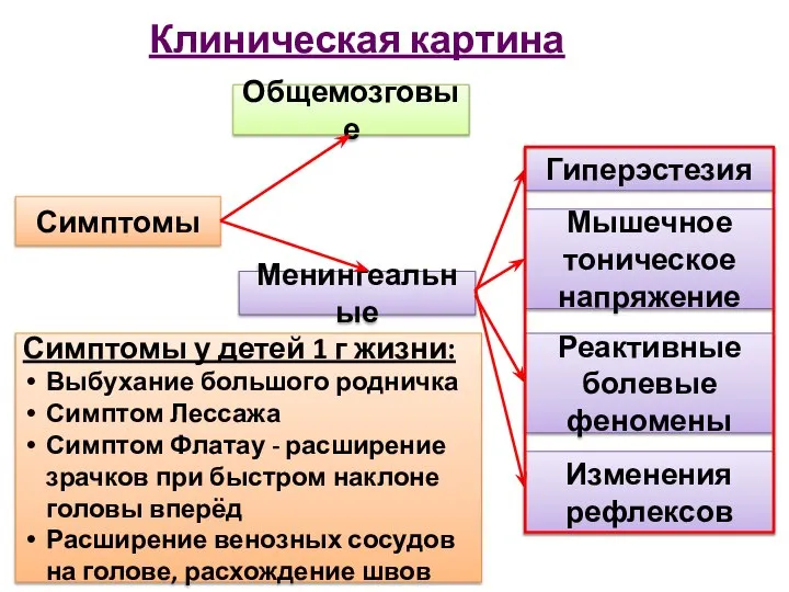 Клиническая картина Общемозговые Симптомы Менингеальные Гиперэстезия Мышечное тоническое напряжение Реактивные болевые