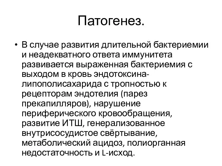 Патогенез. В случае развития длительной бактериемии и неадекватного ответа иммунитета развивается