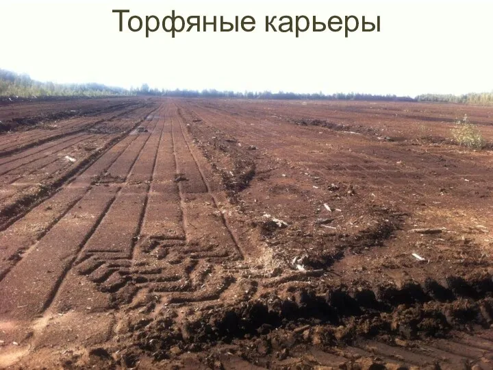 Торфяные карьеры