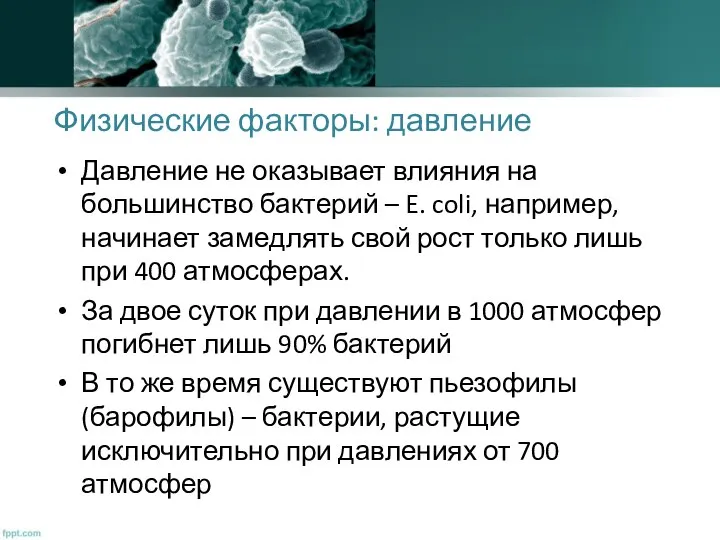 Физические факторы: давление Давление не оказывает влияния на большинство бактерий –