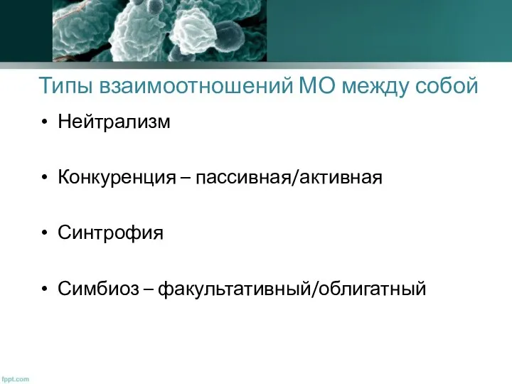 Типы взаимоотношений МО между собой Нейтрализм Конкуренция – пассивная/активная Синтрофия Симбиоз – факультативный/облигатный